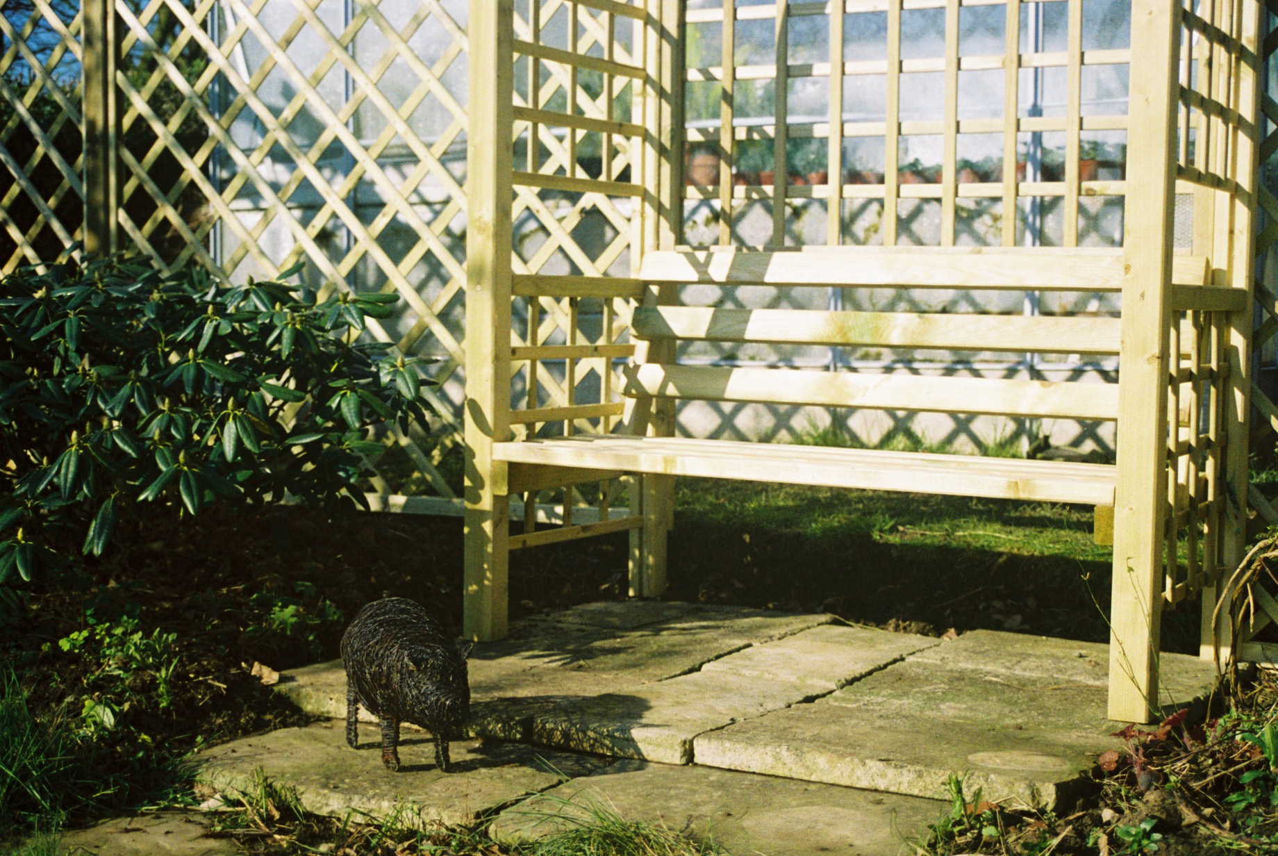 Napoleon having a snooze in the sun, the following day