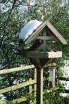 Birdtable, back garden