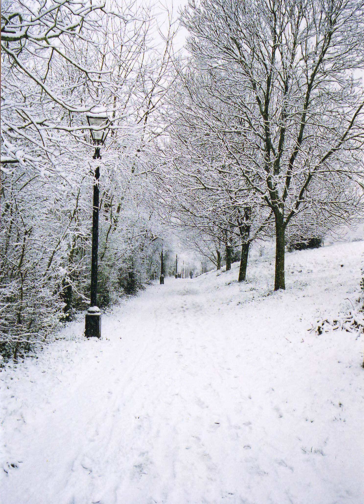 On Brandon Hill, Bristol