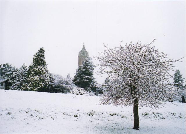 On Brandon Hill, Bristol