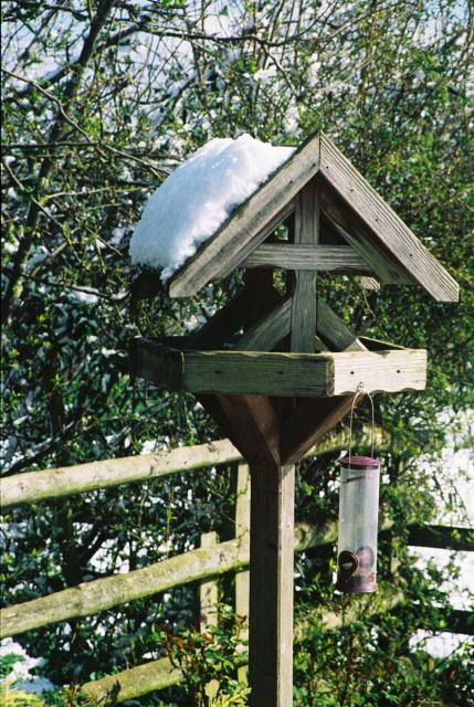 Birdtable, back garden